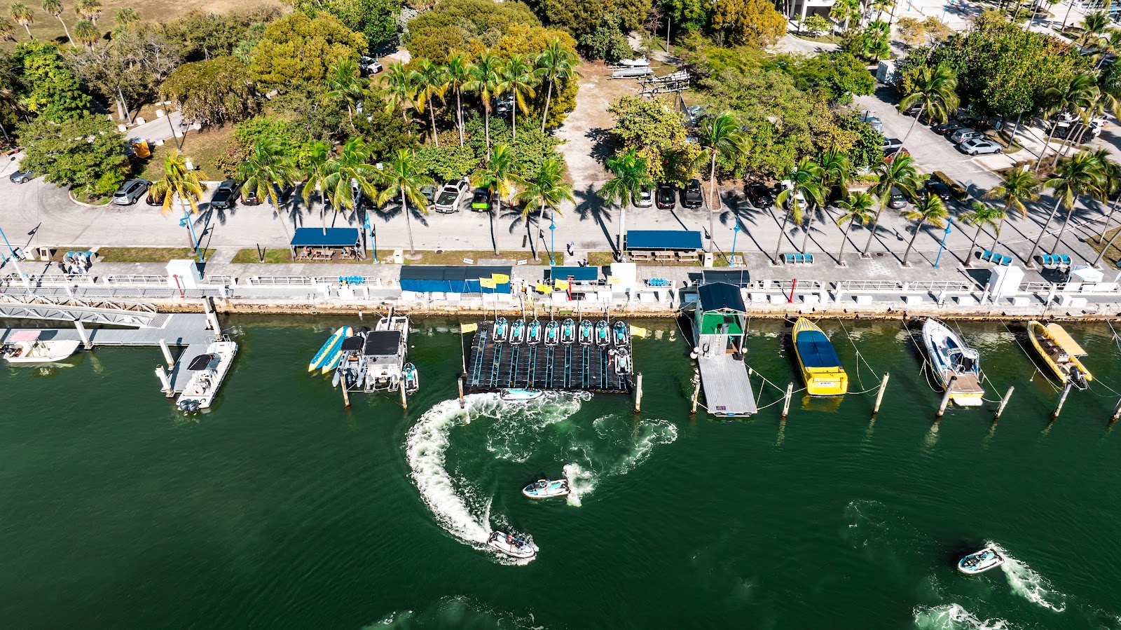 Flyboard at Miami Jetski — Miami, Dinner Key Marina